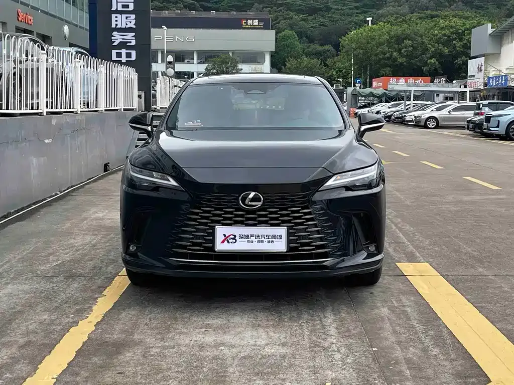 Lexus RX — фото 9