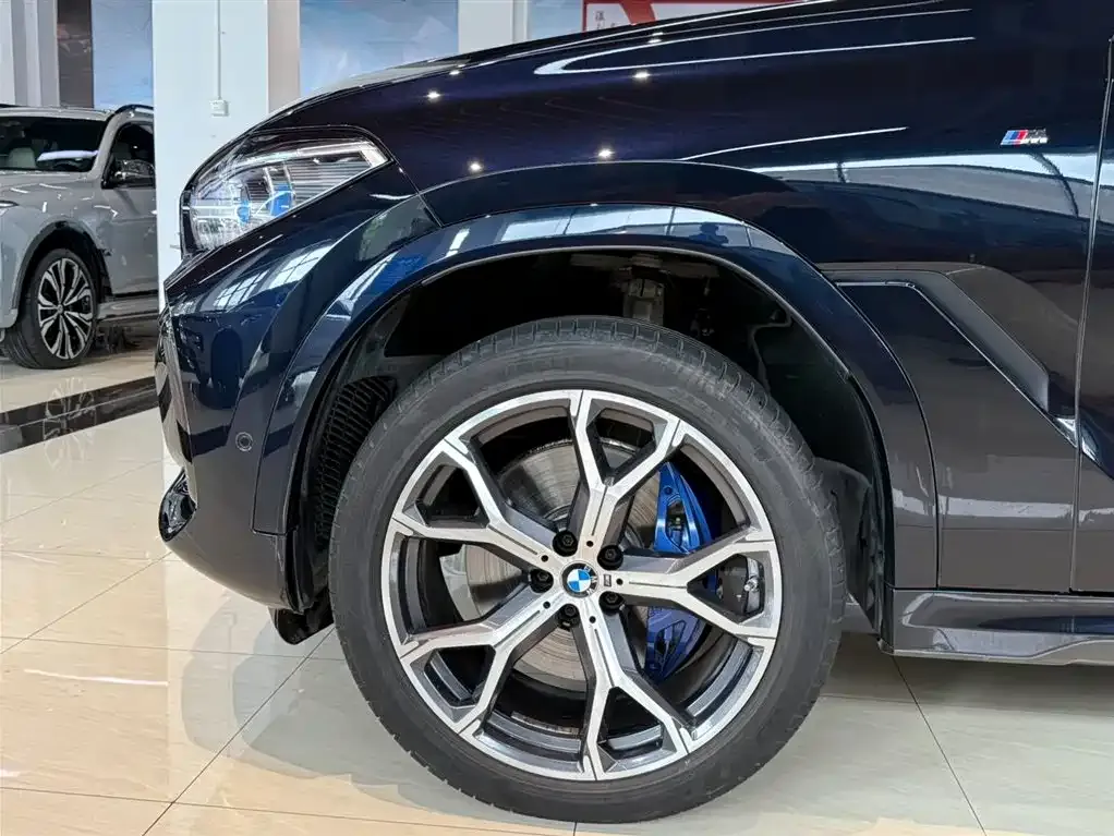 BMW X6 — фото 10