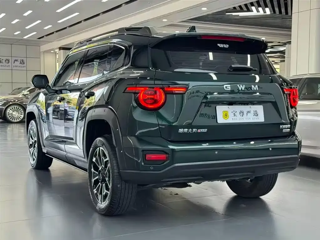 Haval H7 (Big Dog Plus) New Energy — фото 8