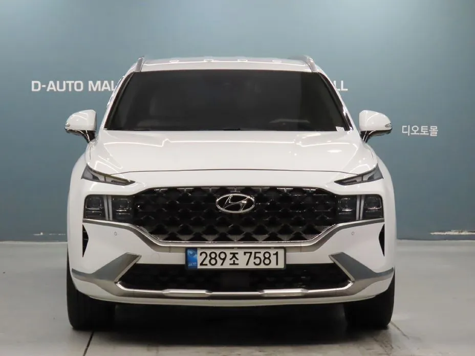 Hyundai Santafe — фото 2