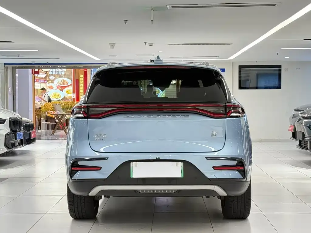 BYD Tang New Energy 2024 из CN, фото 6