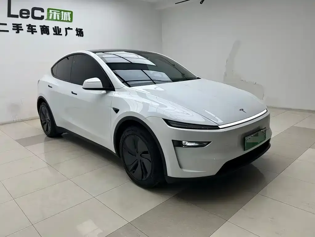 Tesla Model Y — фото 3