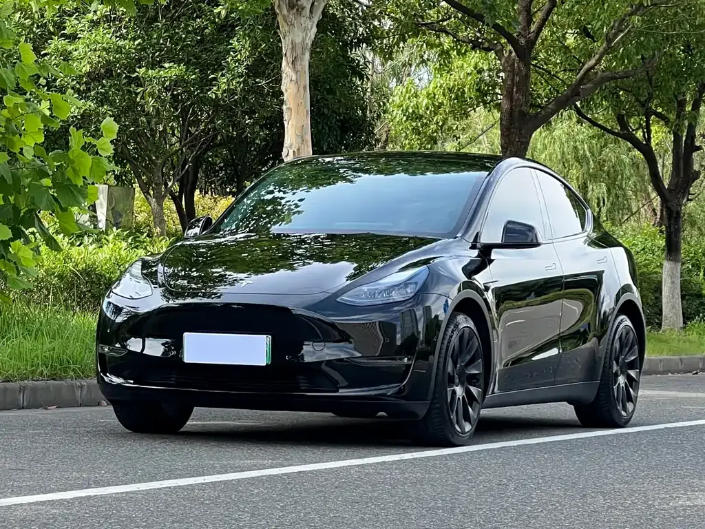 Tesla Model Y — фото 1