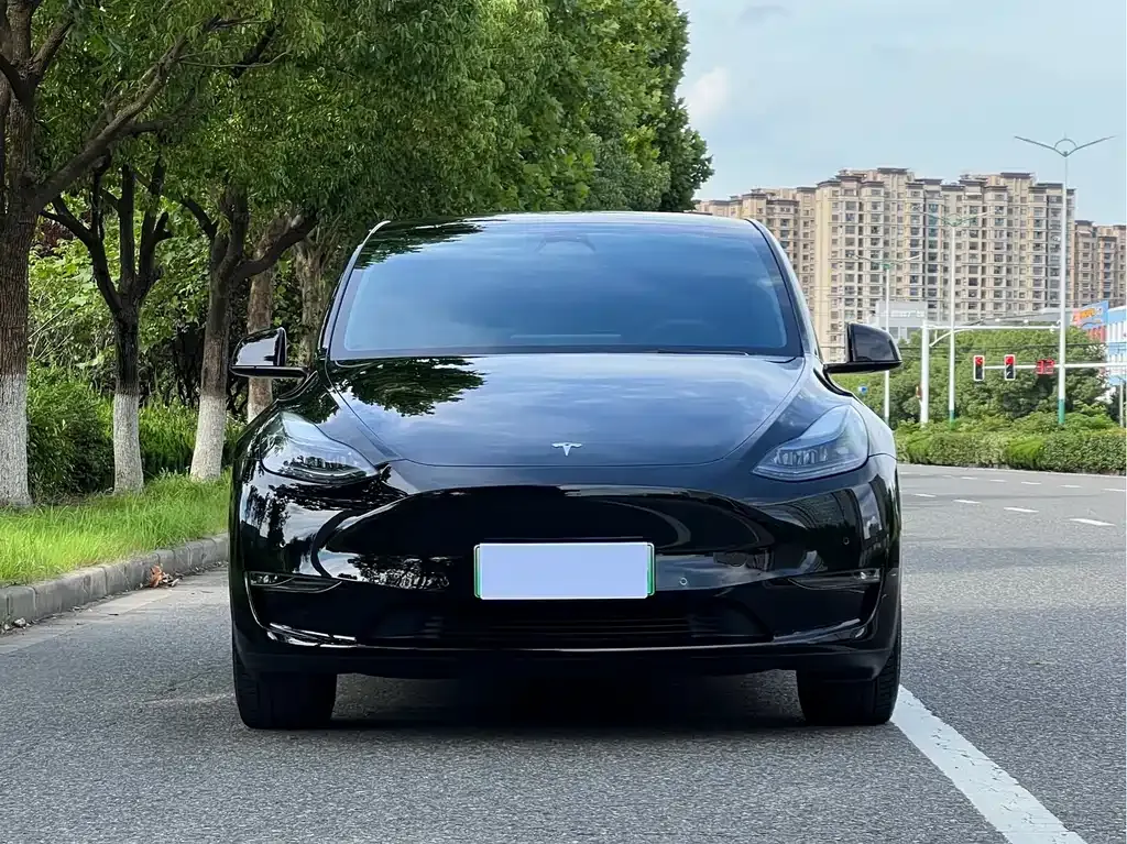 Tesla Model Y — фото 9