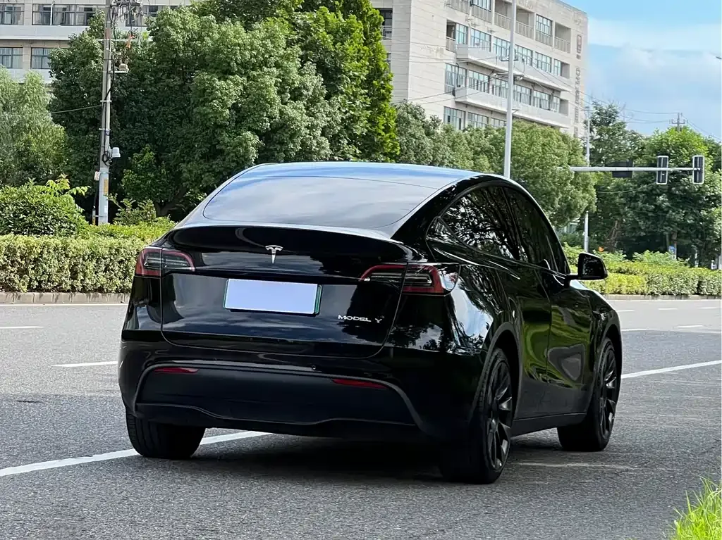Tesla Model Y — фото 8