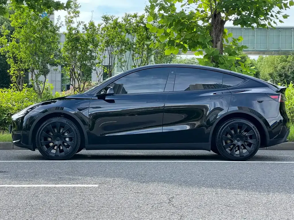 Tesla Model Y — фото 10