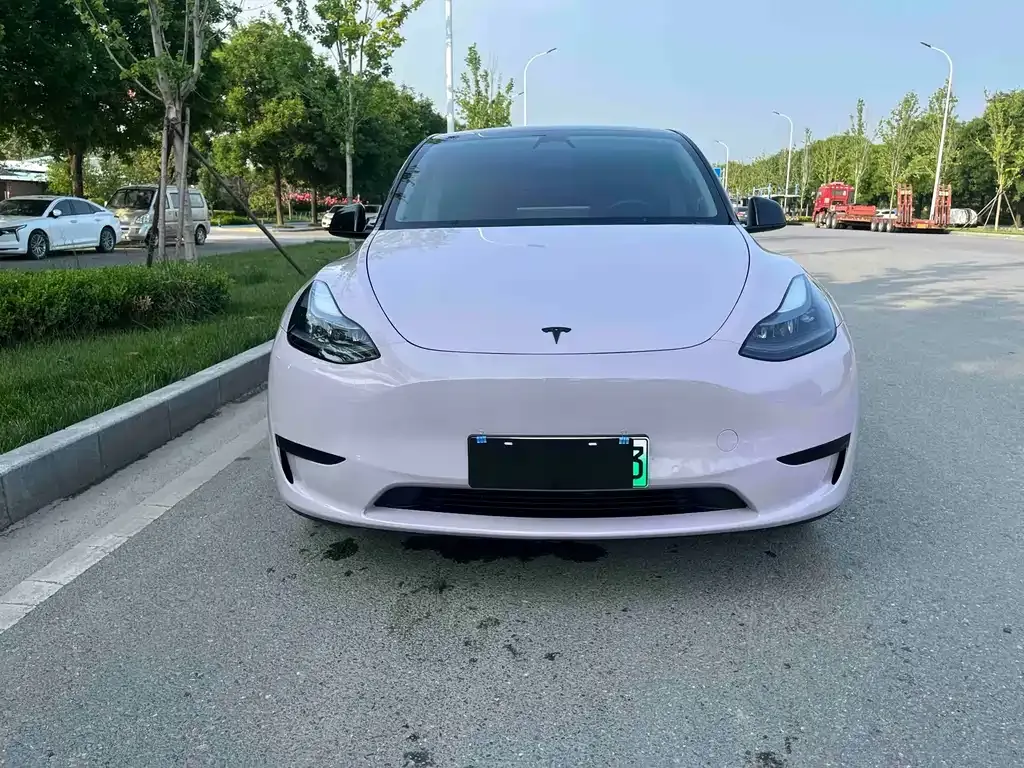 Tesla Model Y — фото 5