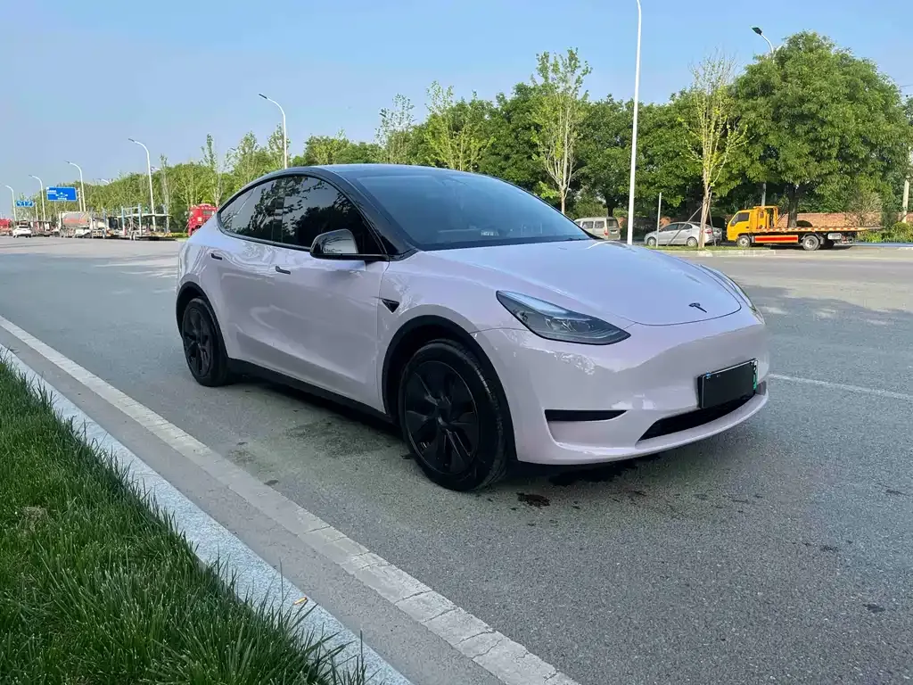 Tesla Model Y — фото 10