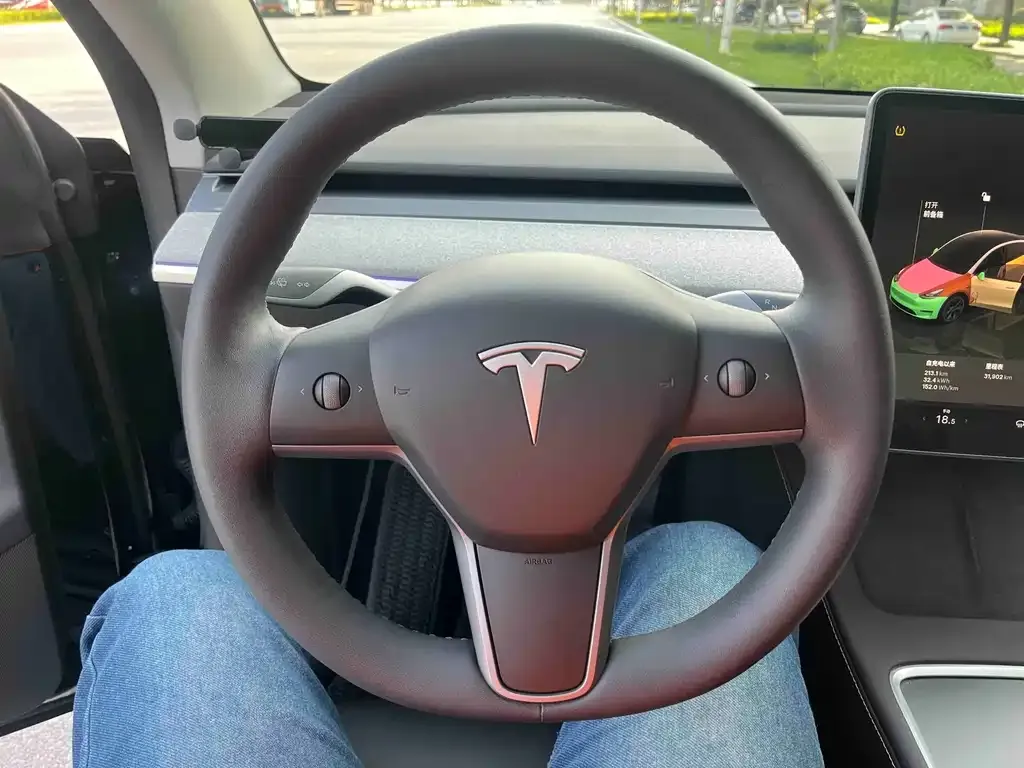 Tesla Model Y — фото 9