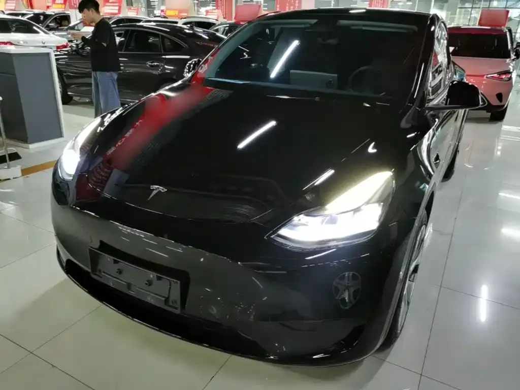 Tesla Model Y — фото 3