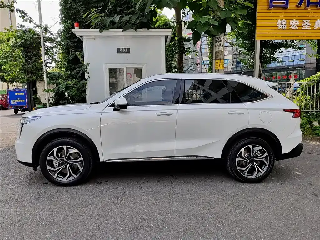 Haval Xiaolong MAX — фото 8