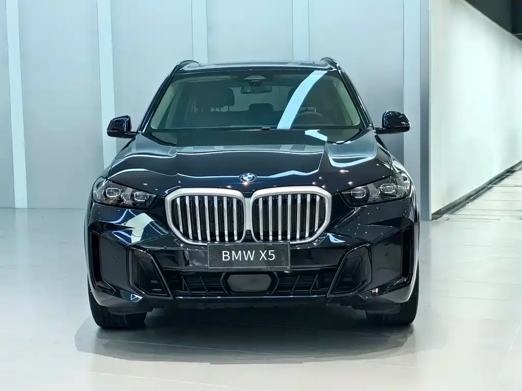 BMW X5 — фото 2