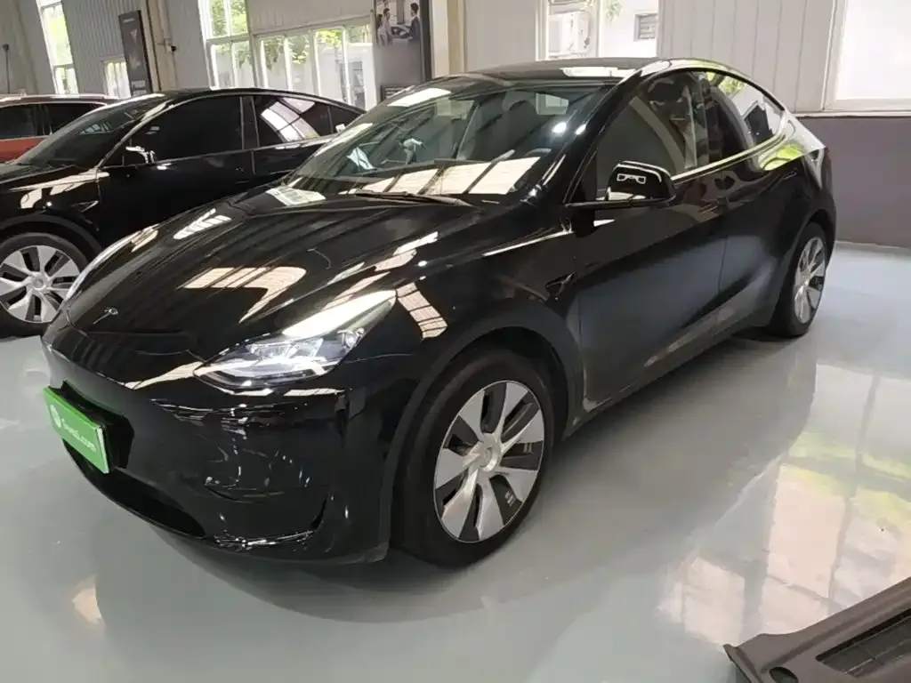 Tesla Model Y — фото 10