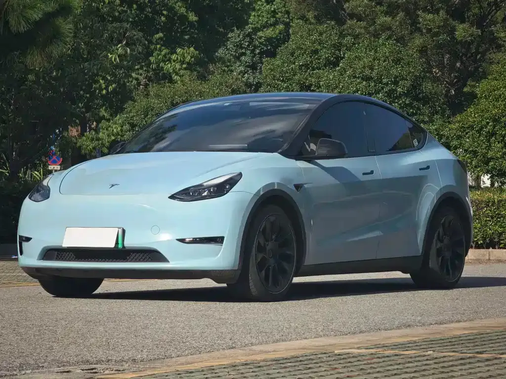 Tesla Model Y — фото 1