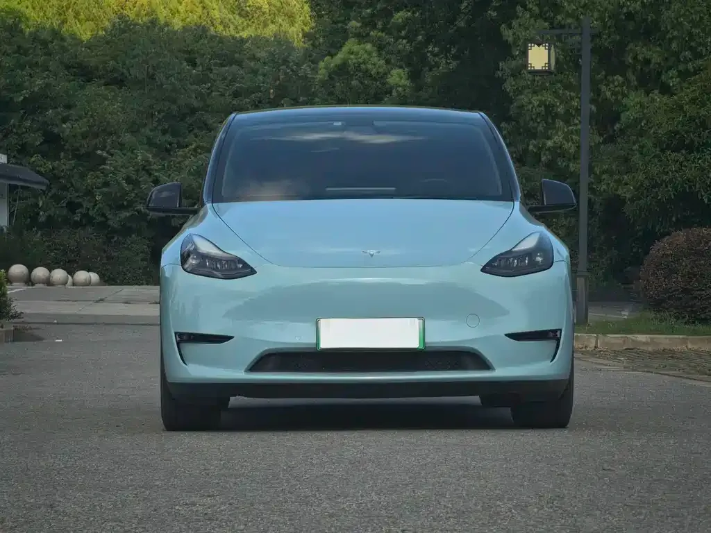 Tesla Model Y — фото 8