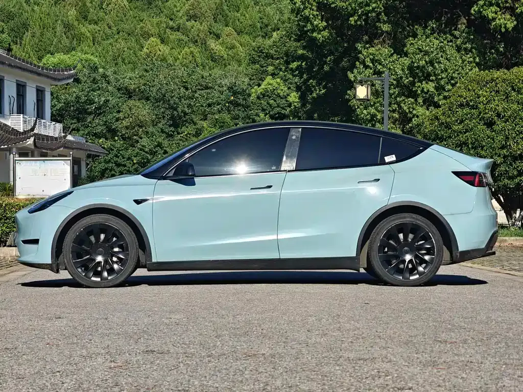Tesla Model Y — фото 6