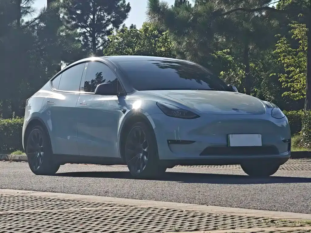 Tesla Model Y — фото 9