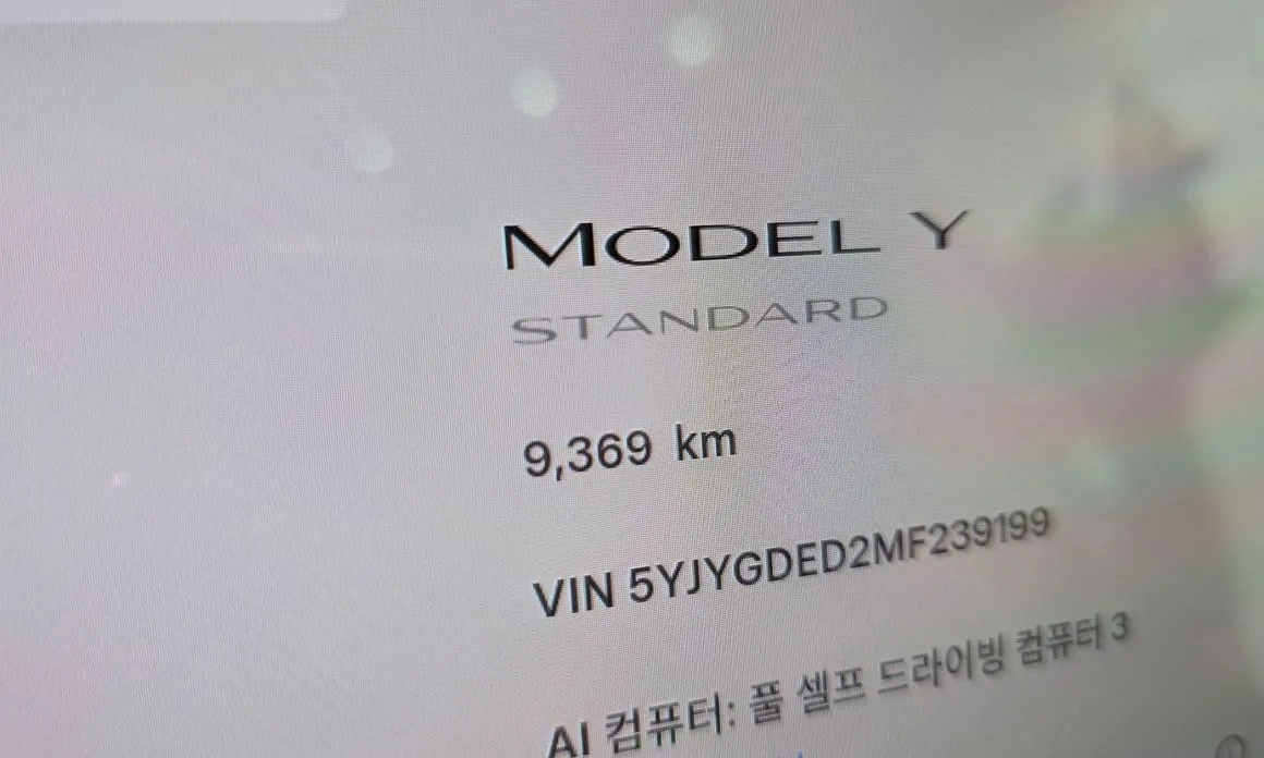 Tesla Model Y 2021 из KR, фото 7