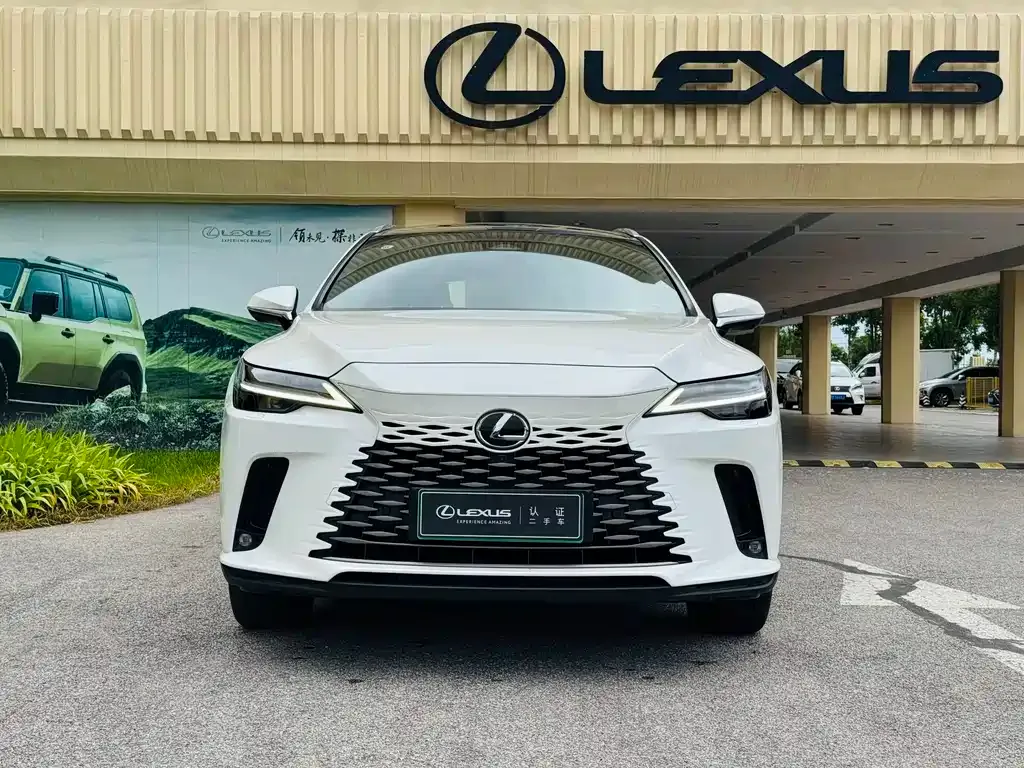 Lexus RX New Energy — фото 6