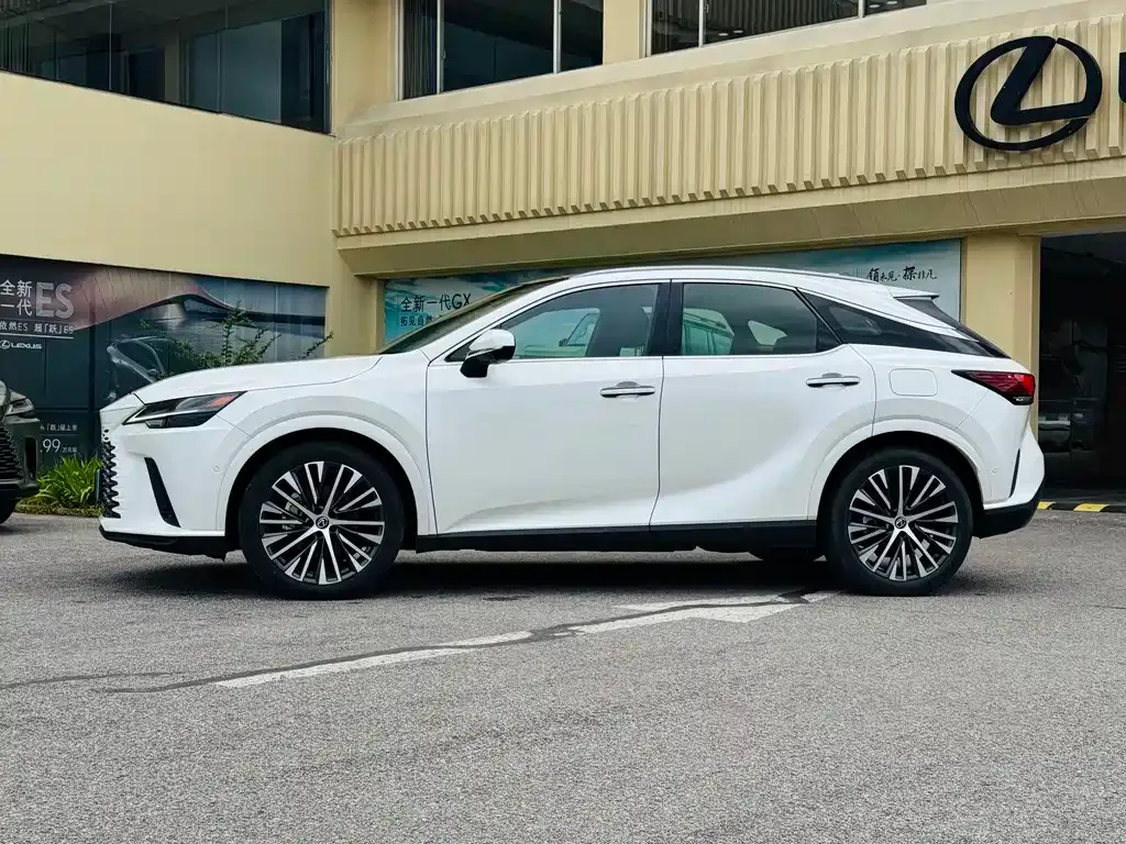 Lexus RX New Energy — фото 9