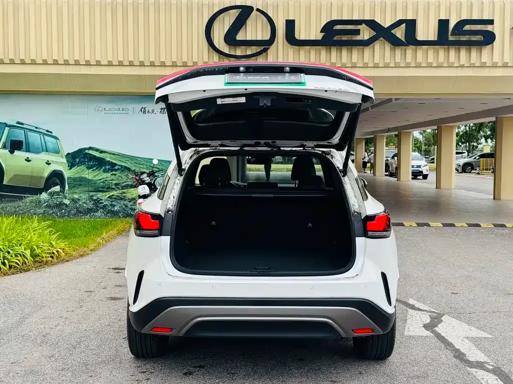 Lexus RX New Energy — фото 8
