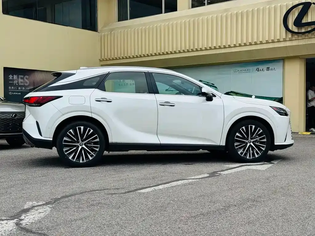 Lexus RX New Energy — фото 10