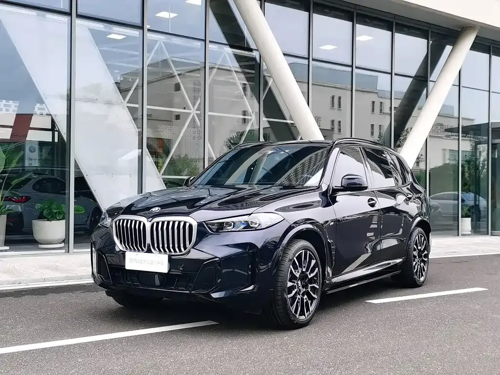 BMW X5 — фото 5