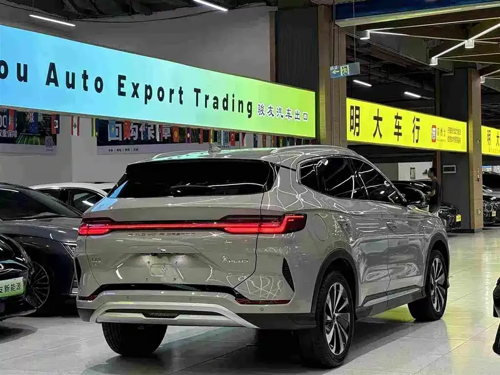 BYD PLUS New Energy — фото 8