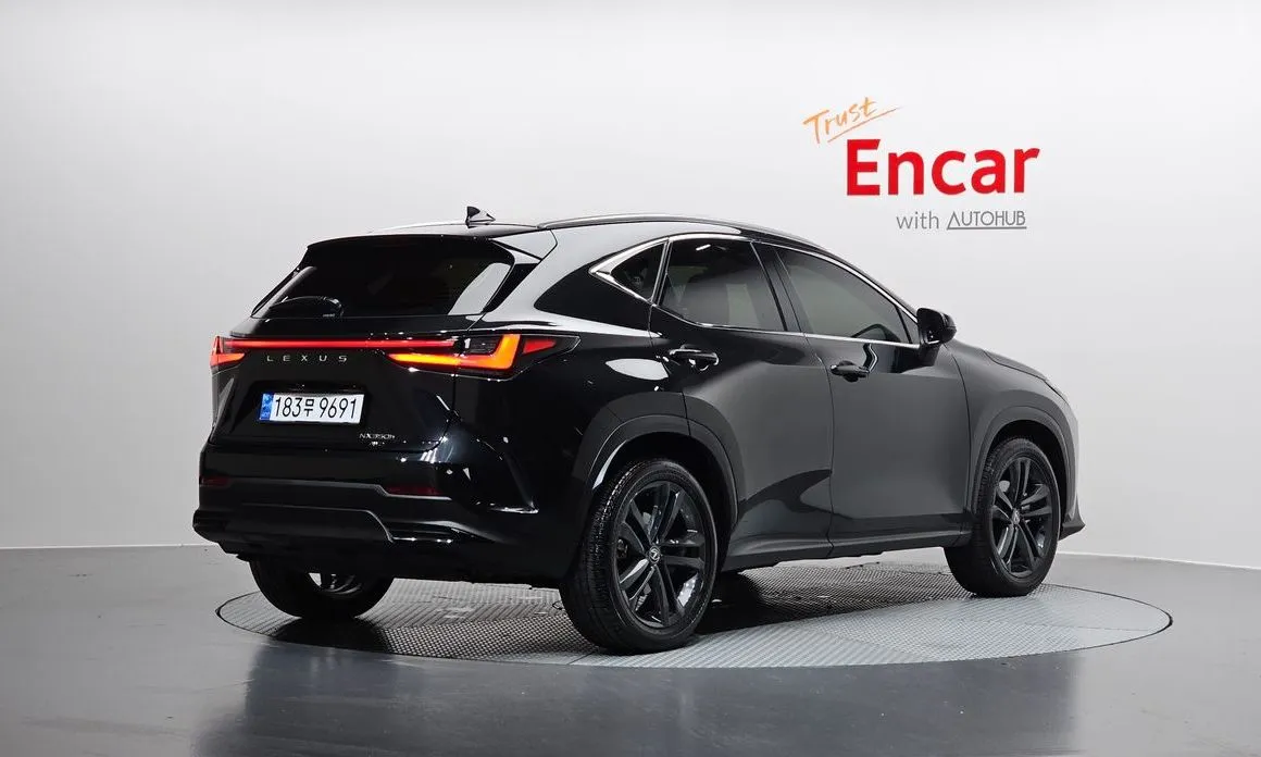 Lexus NX 2024 из KR, фото 6