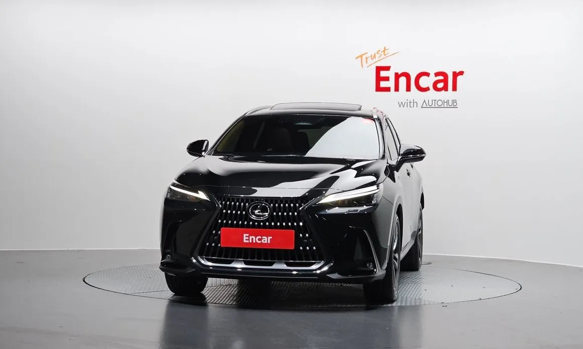 Lexus NX 2024 из KR, фото 3
