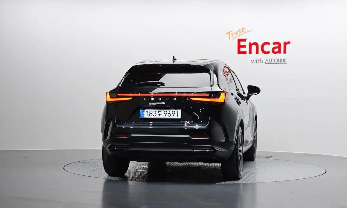 Lexus NX 2024 из KR, фото 2