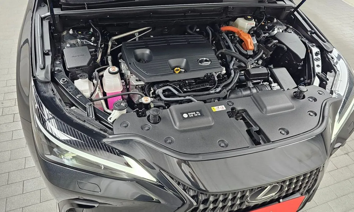Lexus NX 2024 из KR, фото 9