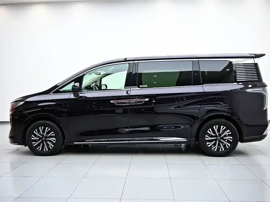 Hongqi HQ9 PHEV — фото 9