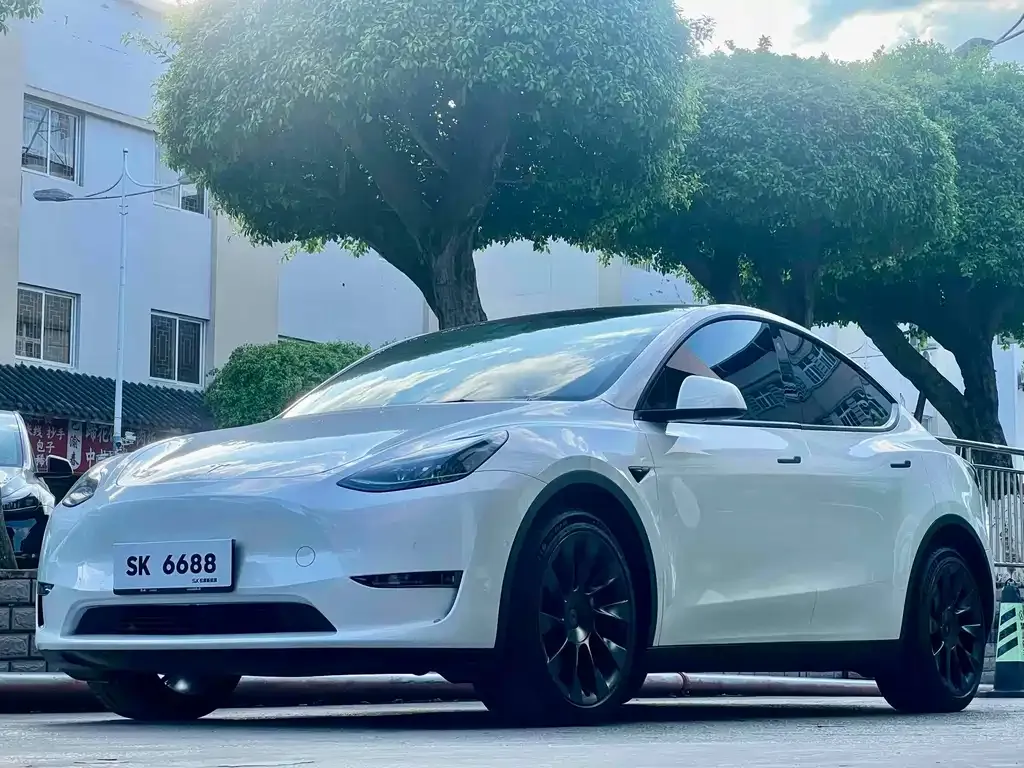 Tesla Model Y — фото 1