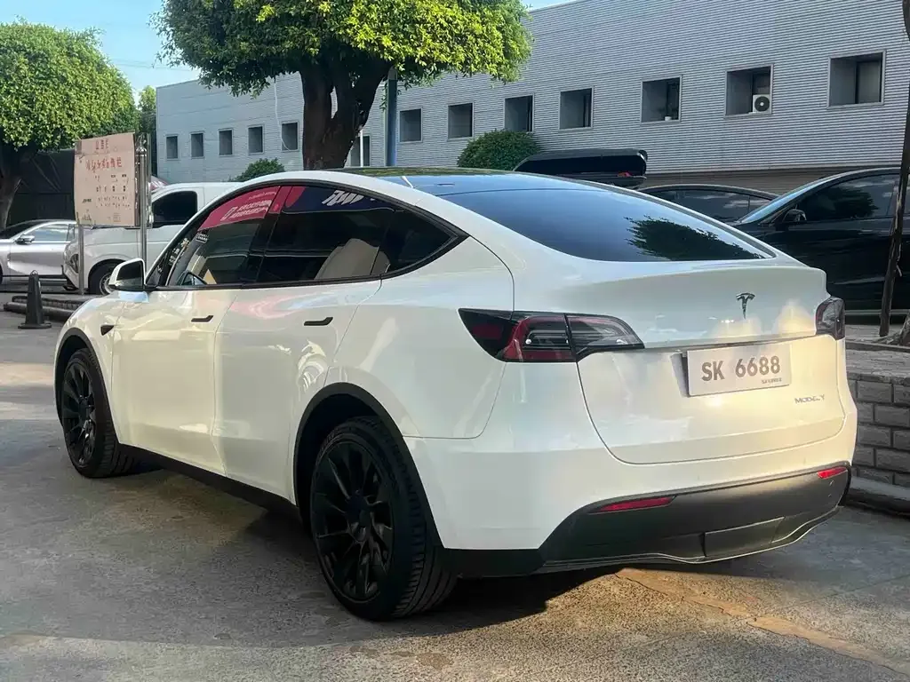 Tesla Model Y — фото 10