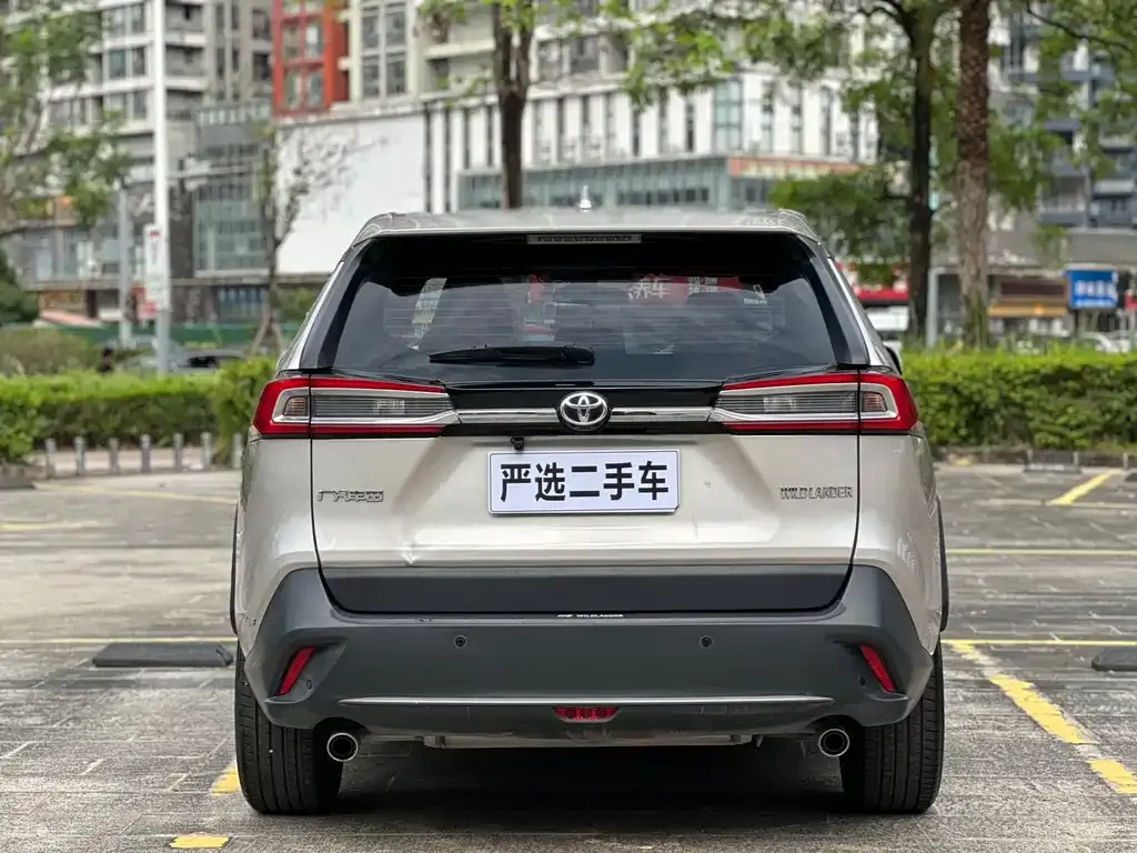 Toyota Wildlander 2024 из CN, фото 4