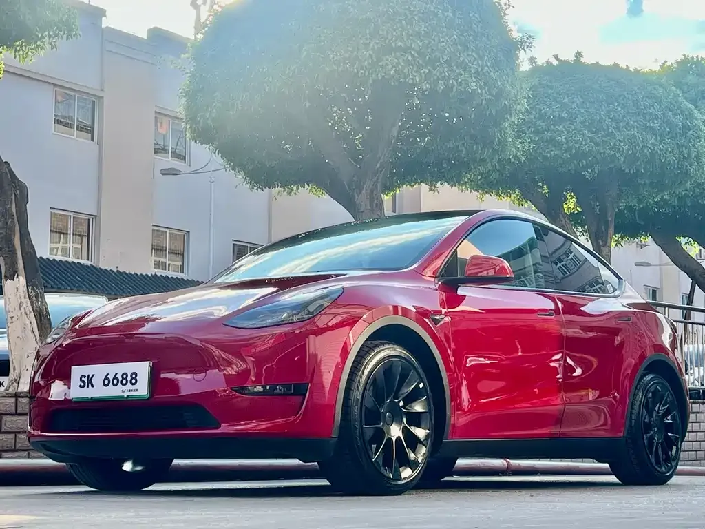 Tesla Model Y — фото 1