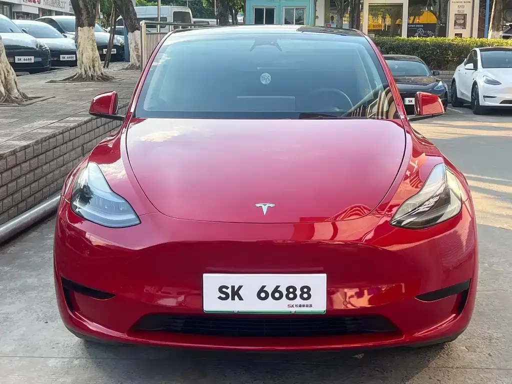 Tesla Model Y — фото 3