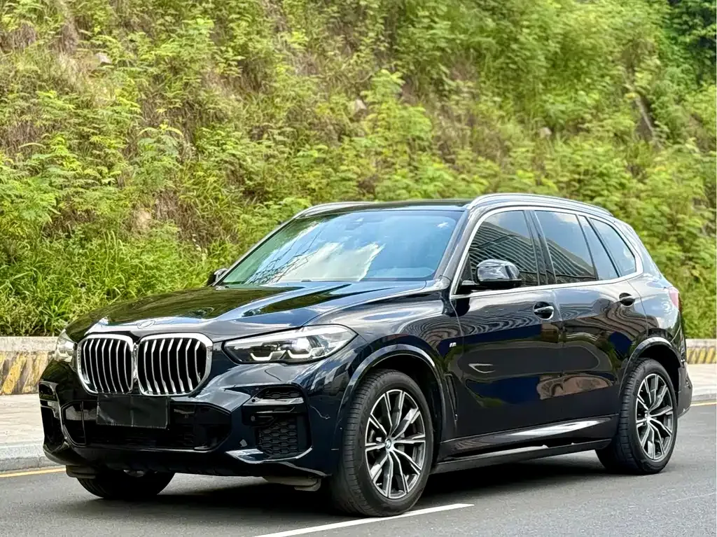 BMW X5 (Import) — фото 8
