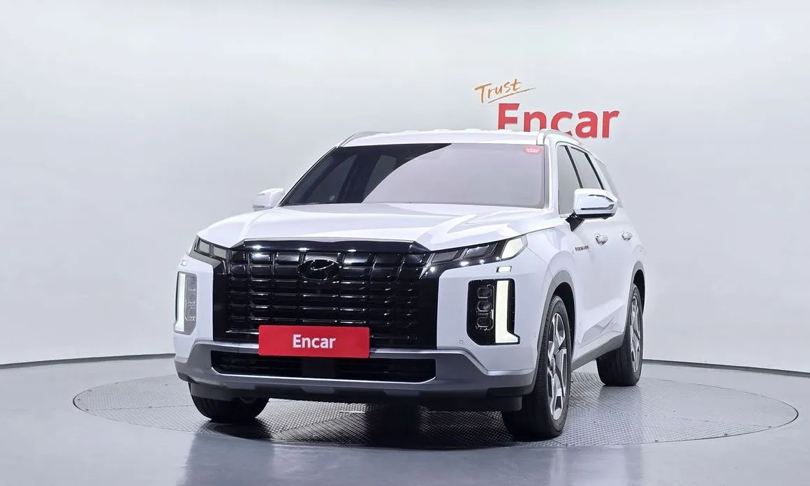 Hyundai Palisade — фото 8