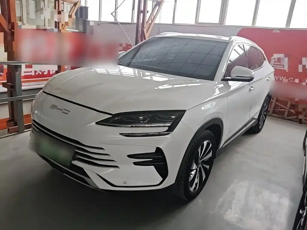 BYD PLUS New Energy — фото 6