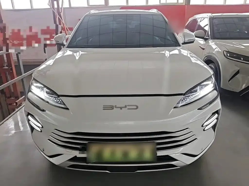 BYD PLUS New Energy — фото 8
