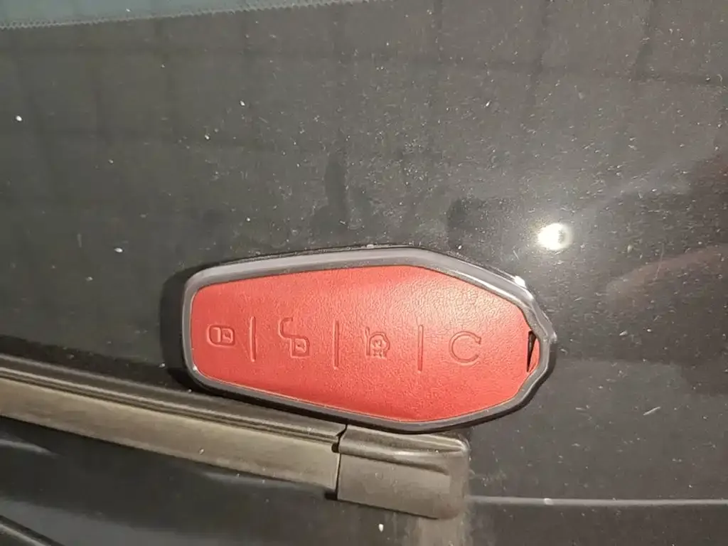 BYD PLUS New Energy — фото 10