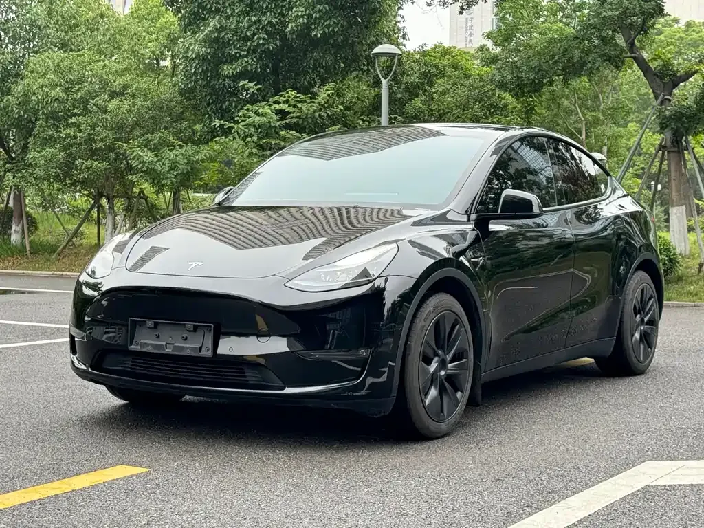 Tesla Model Y — фото 1