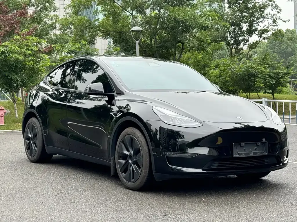 Tesla Model Y — фото 10