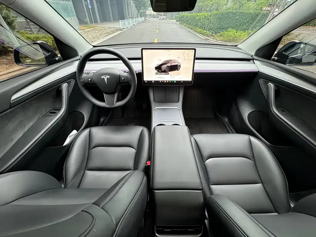 Tesla Model Y — фото 9