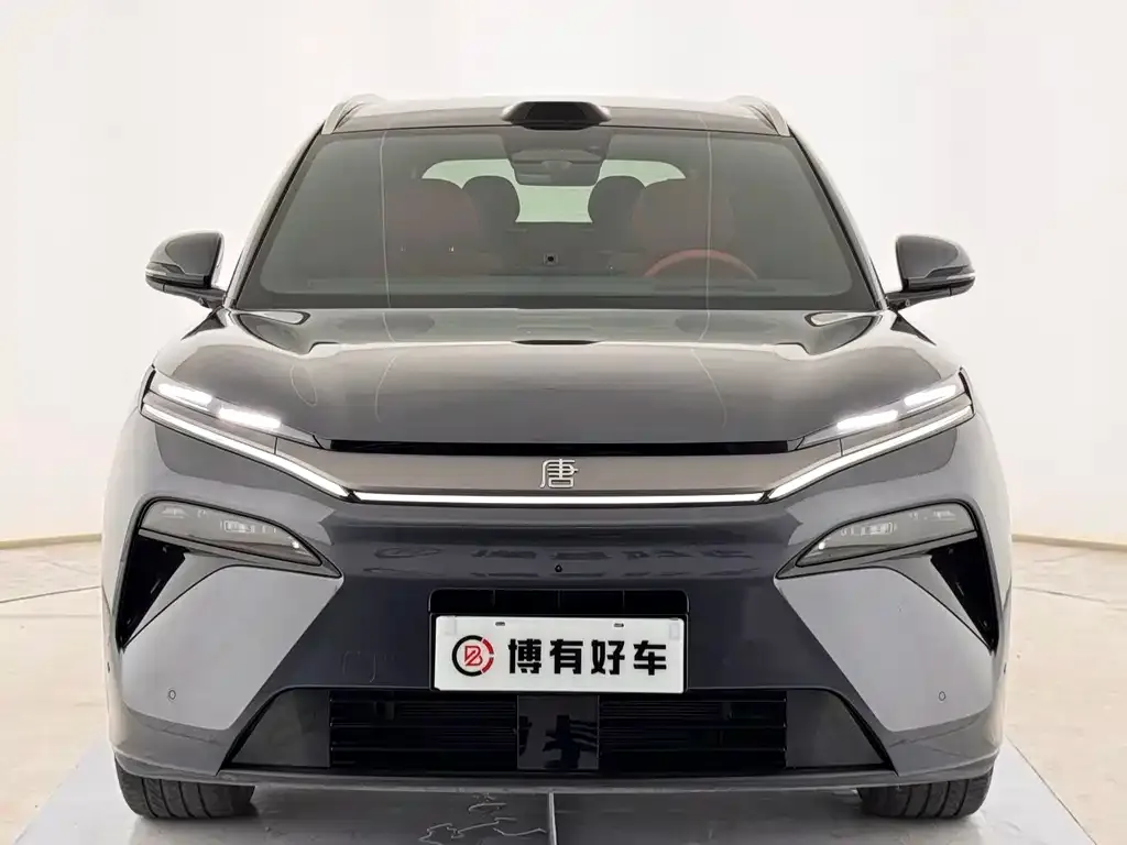 BYD Tang L — фото 3