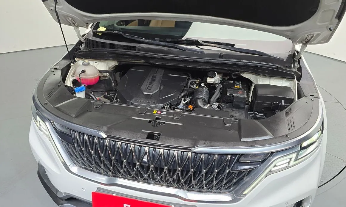 Kia Carnival — фото 10