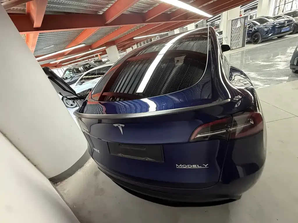 Tesla Model Y — фото 10