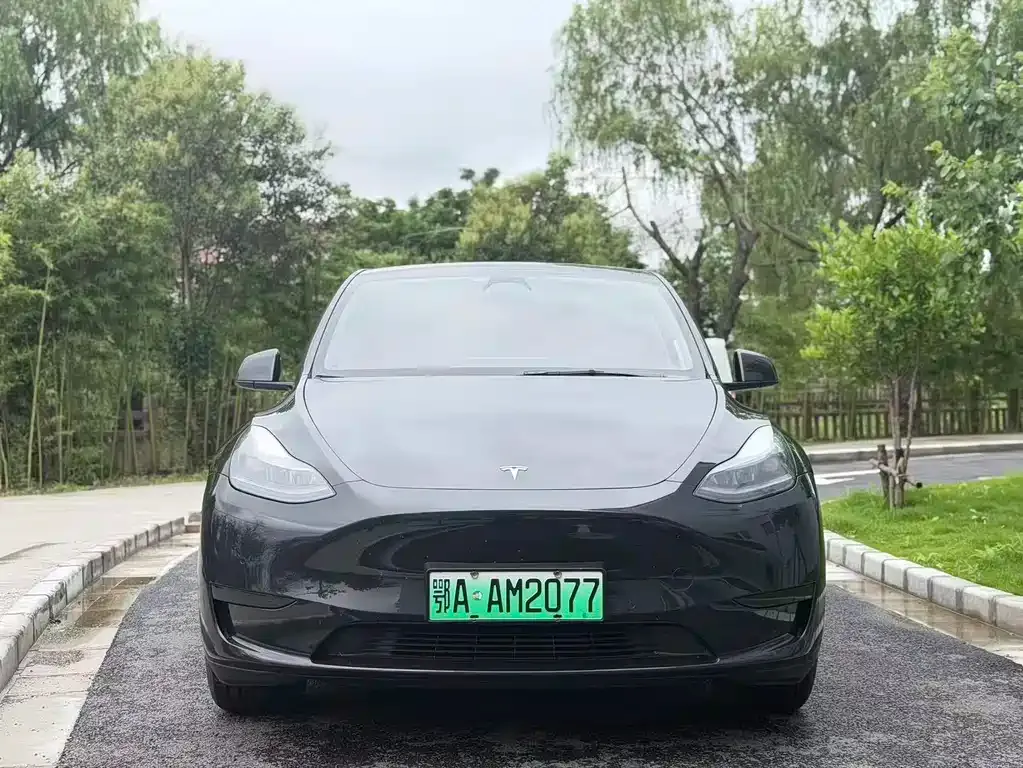 Tesla Model Y — фото 8